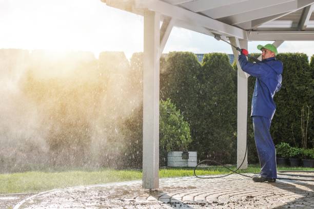 Best Sidewalk and Walkway Cleaning  in Clinton, WI